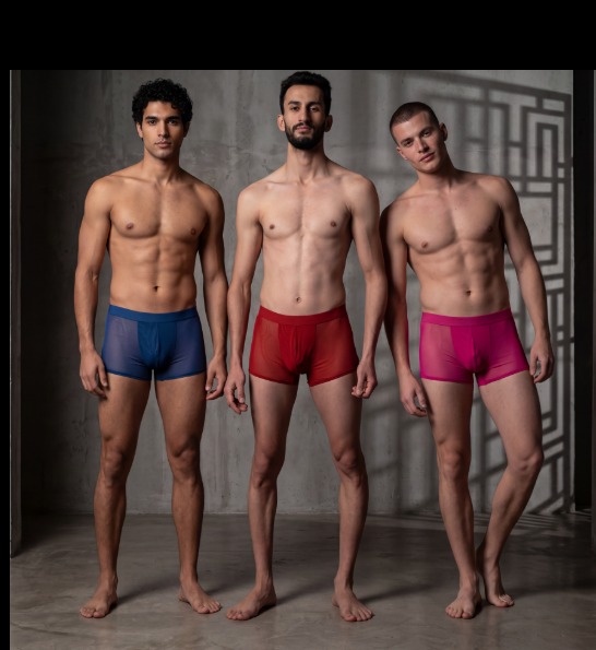 JEU JEU SHEER boxer renk serisi
